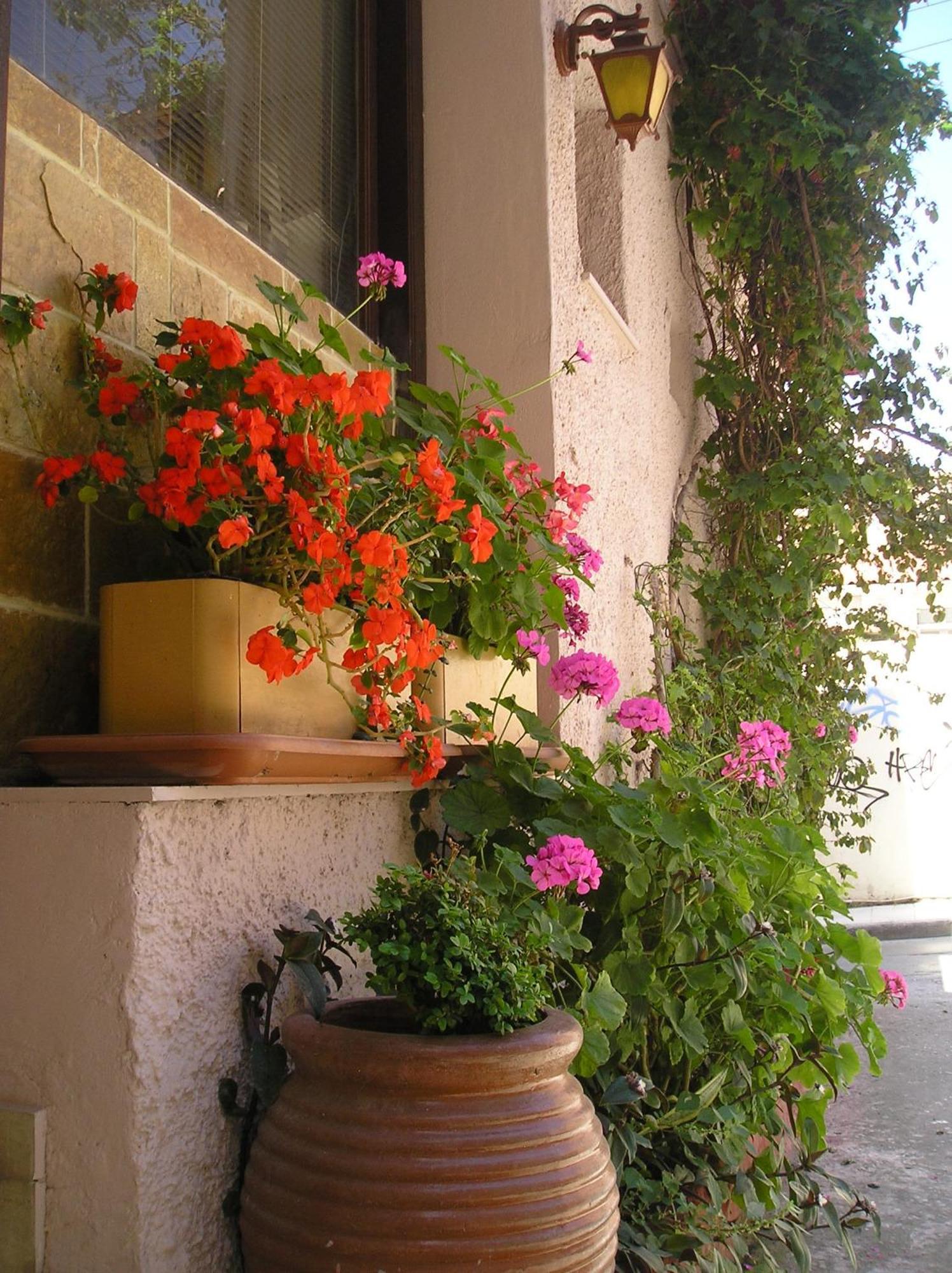 Tina Hotel Chania  Bagian luar foto